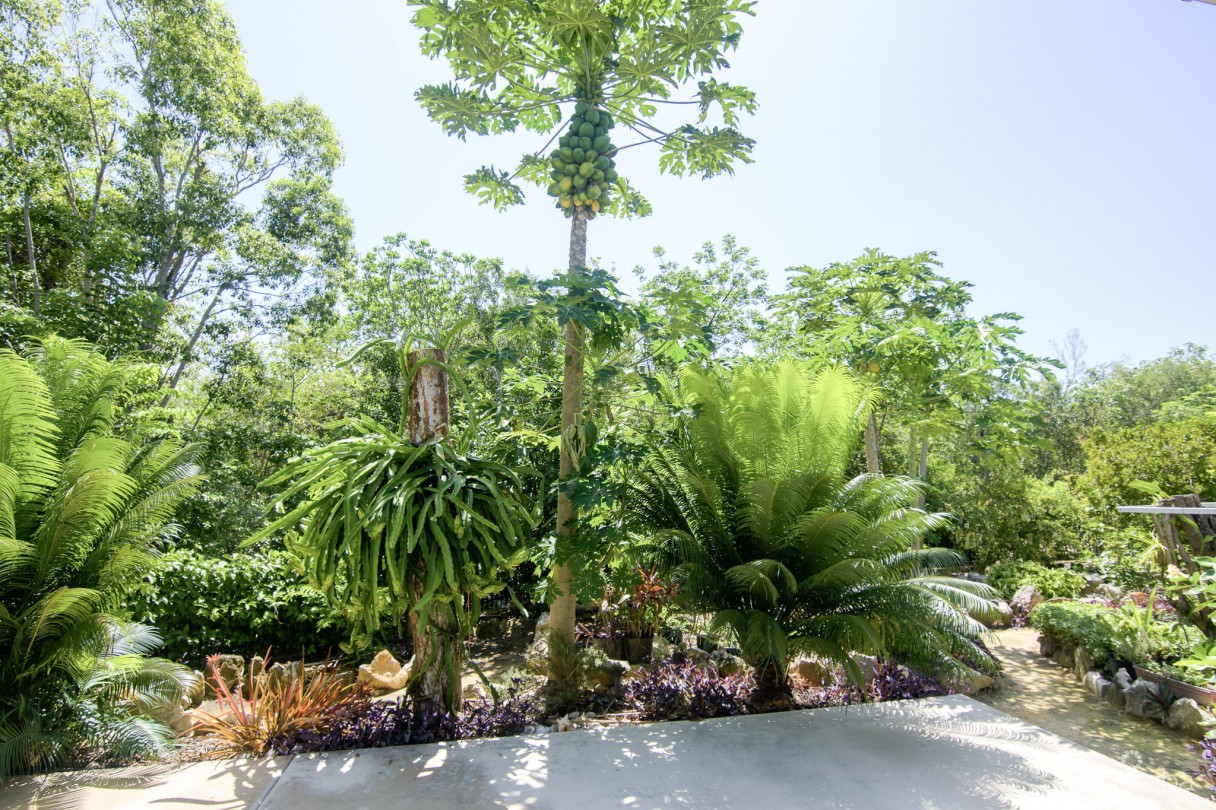 Rock Ridge House - Image 13