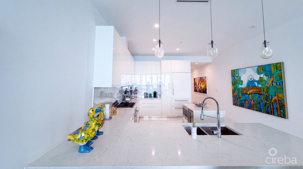 Fin 11 - Oceanfront Condo - Image 3