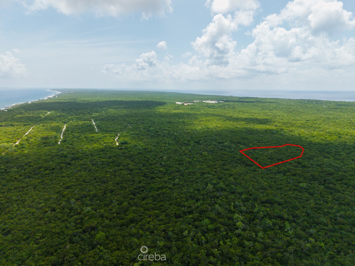 2.5 Acres - Cayman Brac Bluff - Image 4