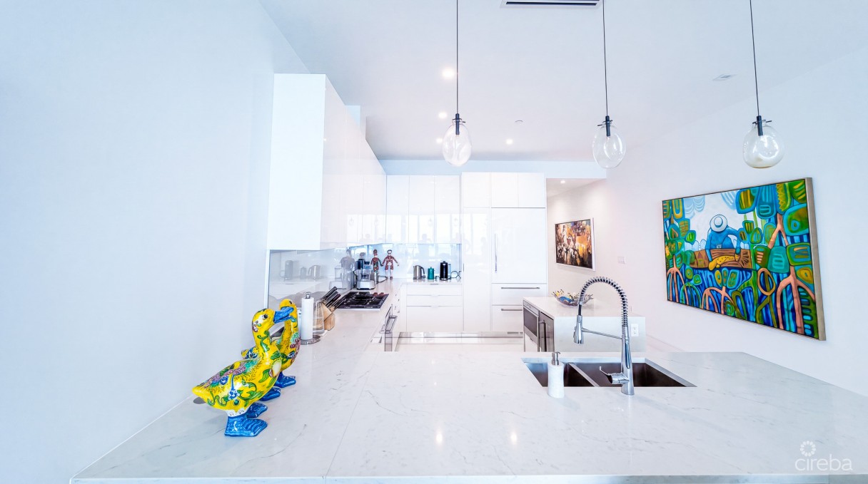 Fin 11 - Oceanfront Condo - Image 3