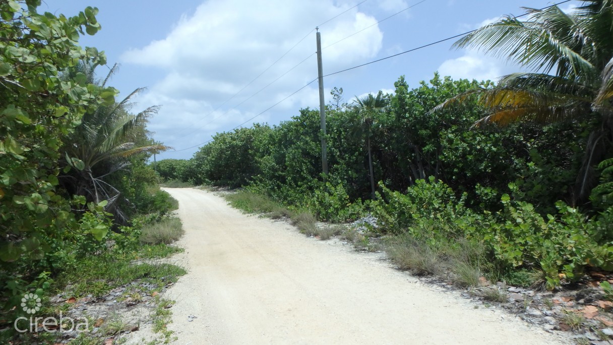 Little Cayman North Side Ocean Front Land - Image 2