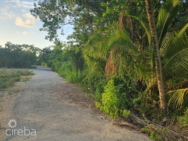 Brac House Lot On Harold Drive - Image 1