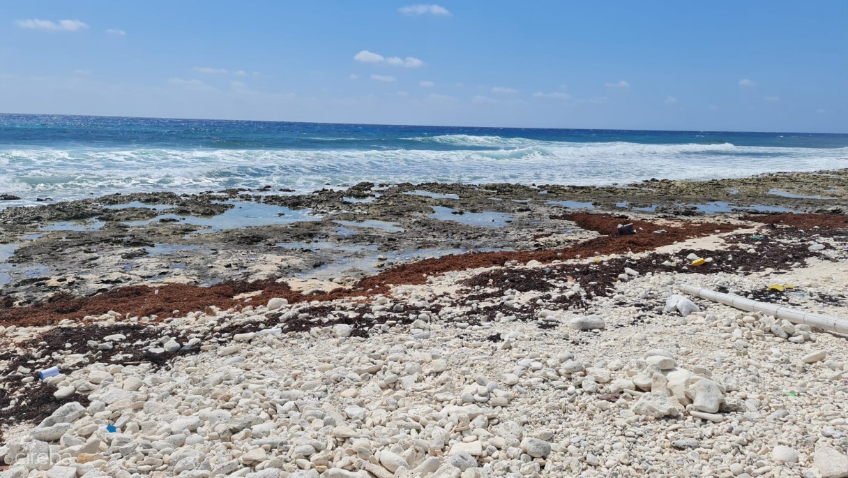 Cayman Brac East Oceanfront 1.25 Acres - Image 1