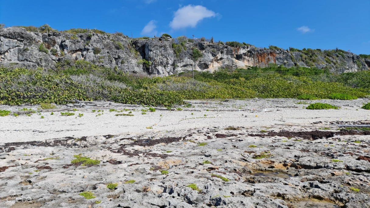 Cayman Brac East Oceanfront 1.25 Acres - Image 5