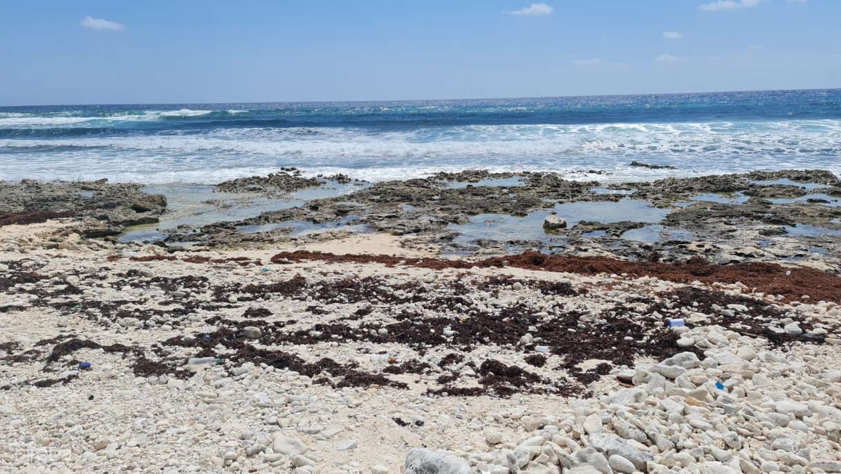 Cayman Brac East Oceanfront 1.25 Acres - Image 6