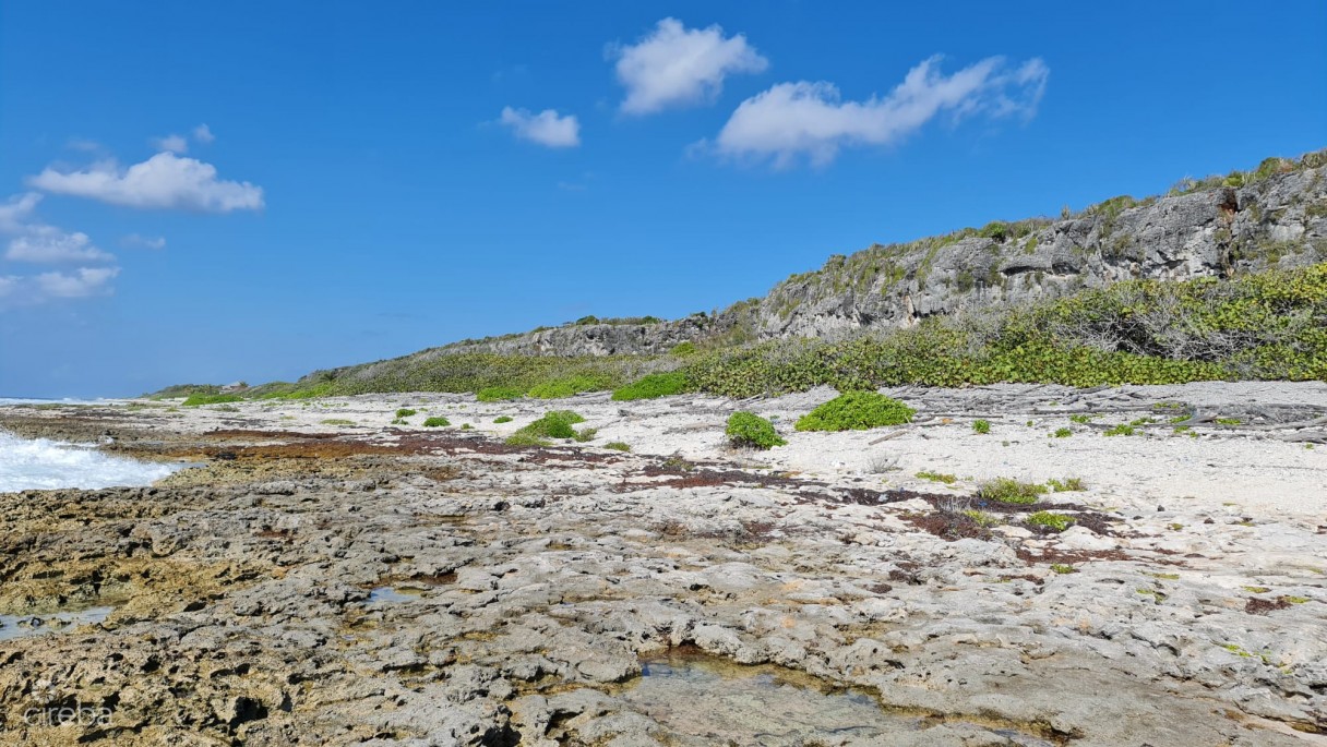 Cayman Brac East Oceanfront 1.25 Acres - Image 8