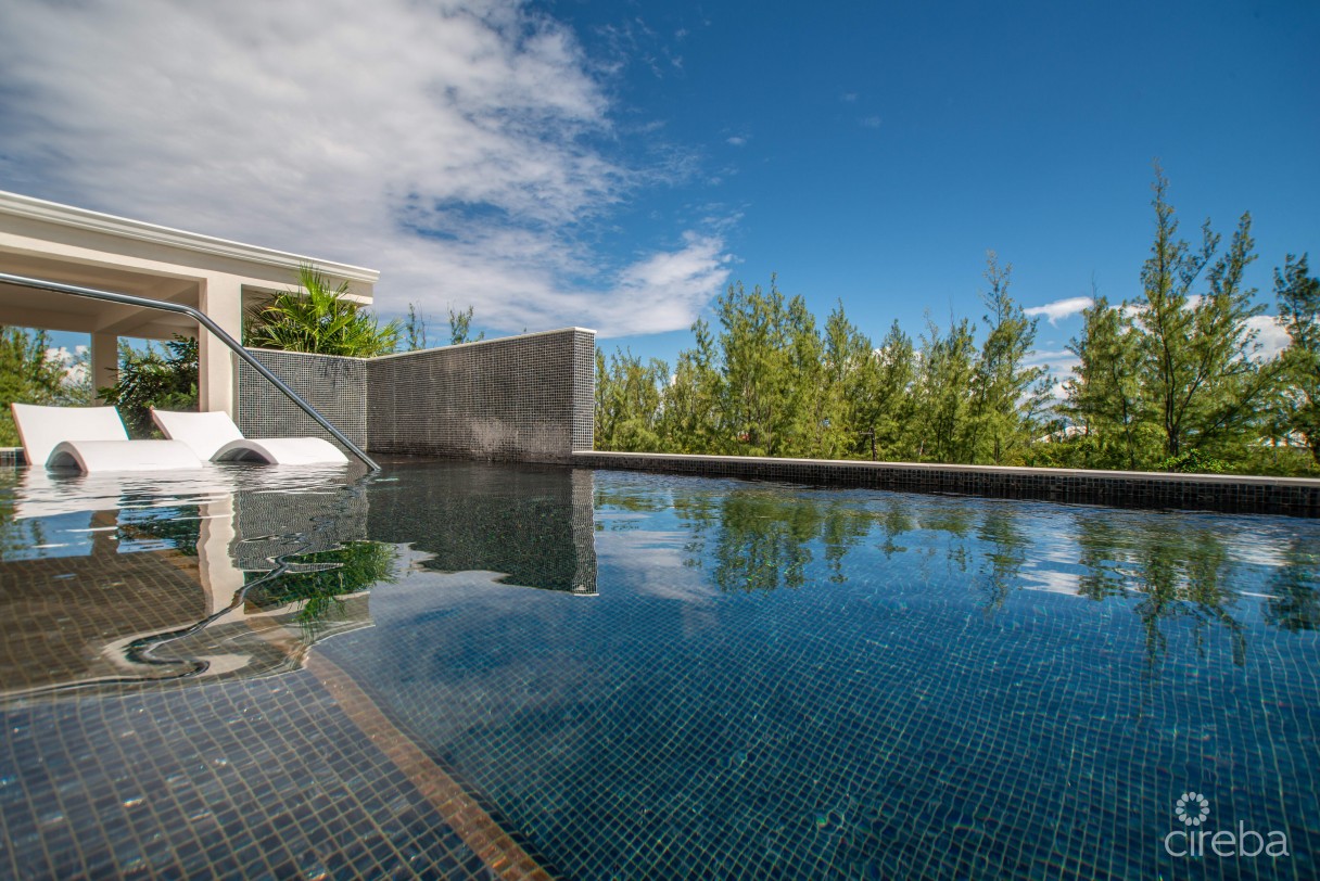 Villa Zen | Contemporary Island Living At The Grove - Image 7