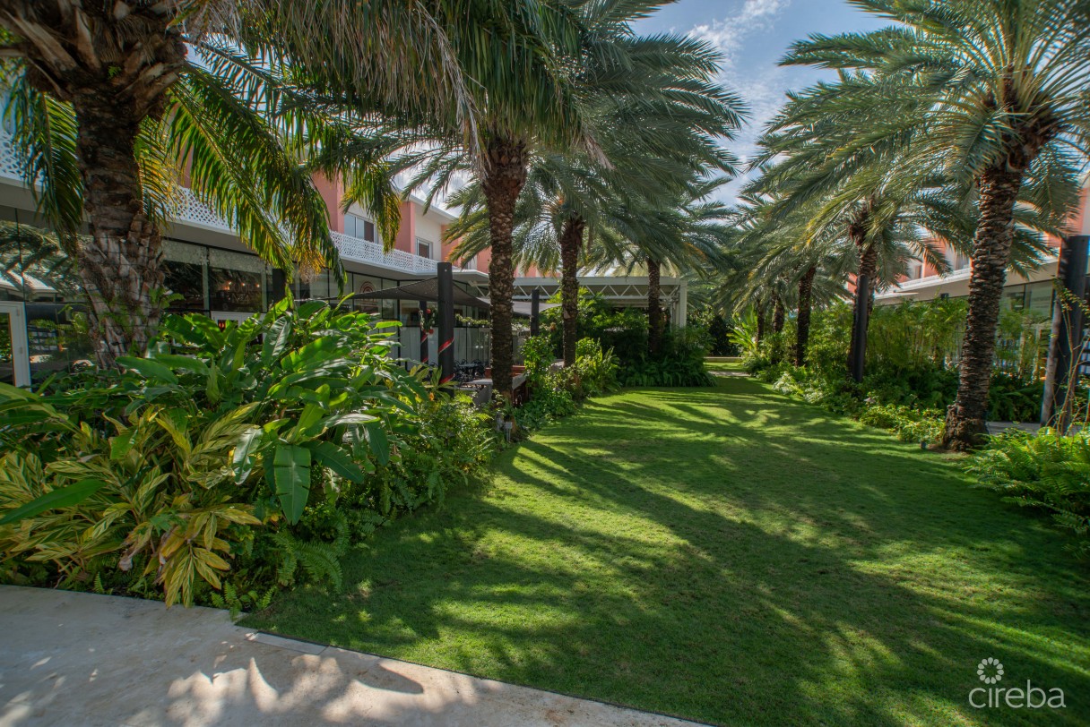 Villa Zen | Contemporary Island Living At The Grove - Image 10