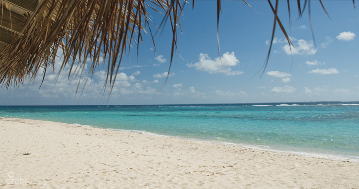 Little Cayman Lot Close To Point Of Sand - Image 4