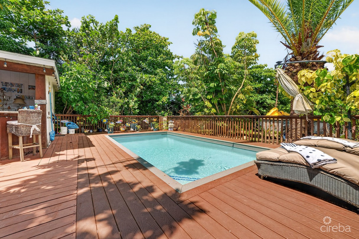 Savannah Newlands Family Home With Pool, Outside Bar & Income-generating Guest Suite - Image 19