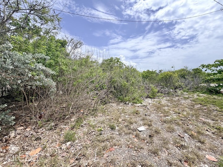 Large Beachfront Lot - Rum Point Drive - Perfect Estate Parcel - Image 3