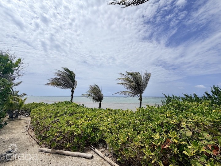 Large Beachfront Lot - Rum Point Drive - Perfect Estate Parcel - Image 5