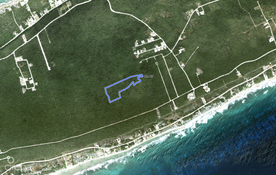 Cayman Brac Central Bluff Land - 7.5 Acres Investment Property - Image 4