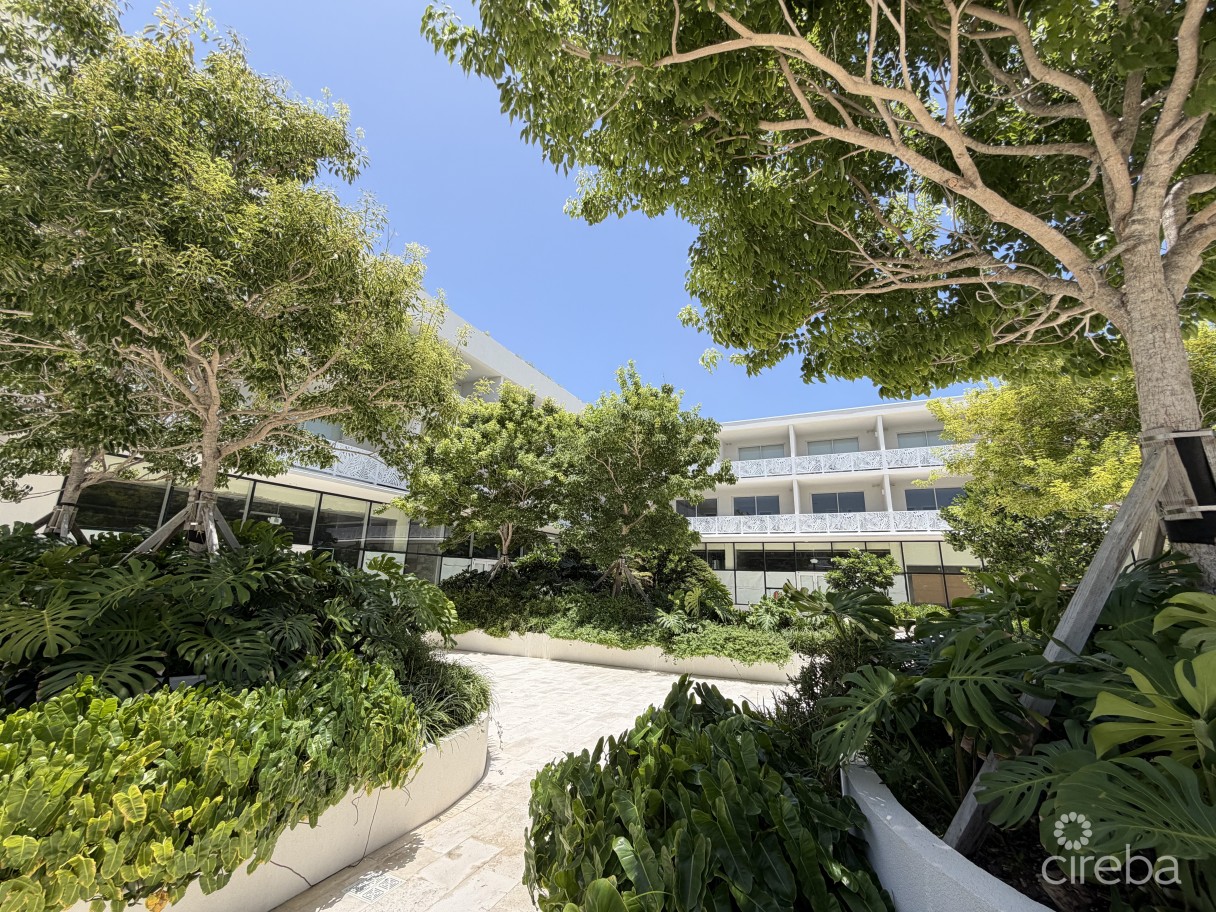 Grove Too  Commercial Office Space - Rare Corner Location - Image 1