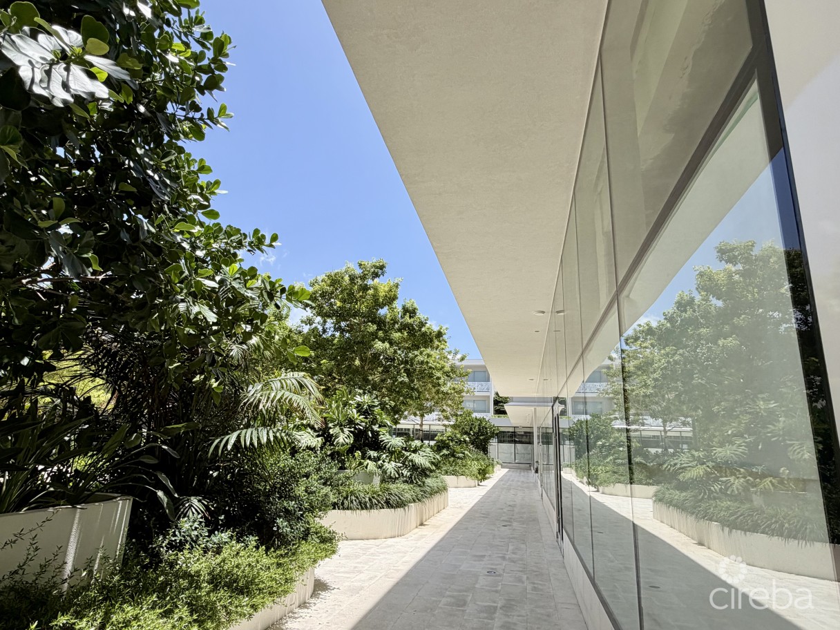 Grove Too  Commercial Office Space - Rare Corner Location - Image 13