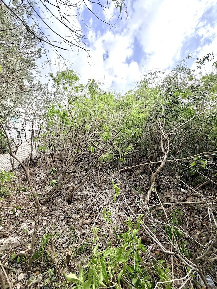 Large Beachfront Lot - Rum Point Drive - Perfect Estate Parcel - Image 9