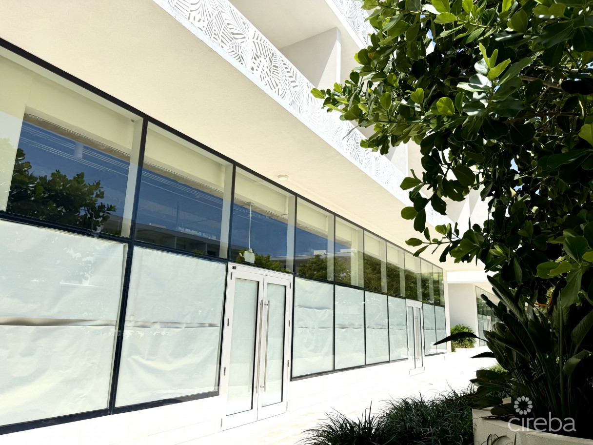 Grove Too  Commercial Office Space - Rare Corner Location - Image 3