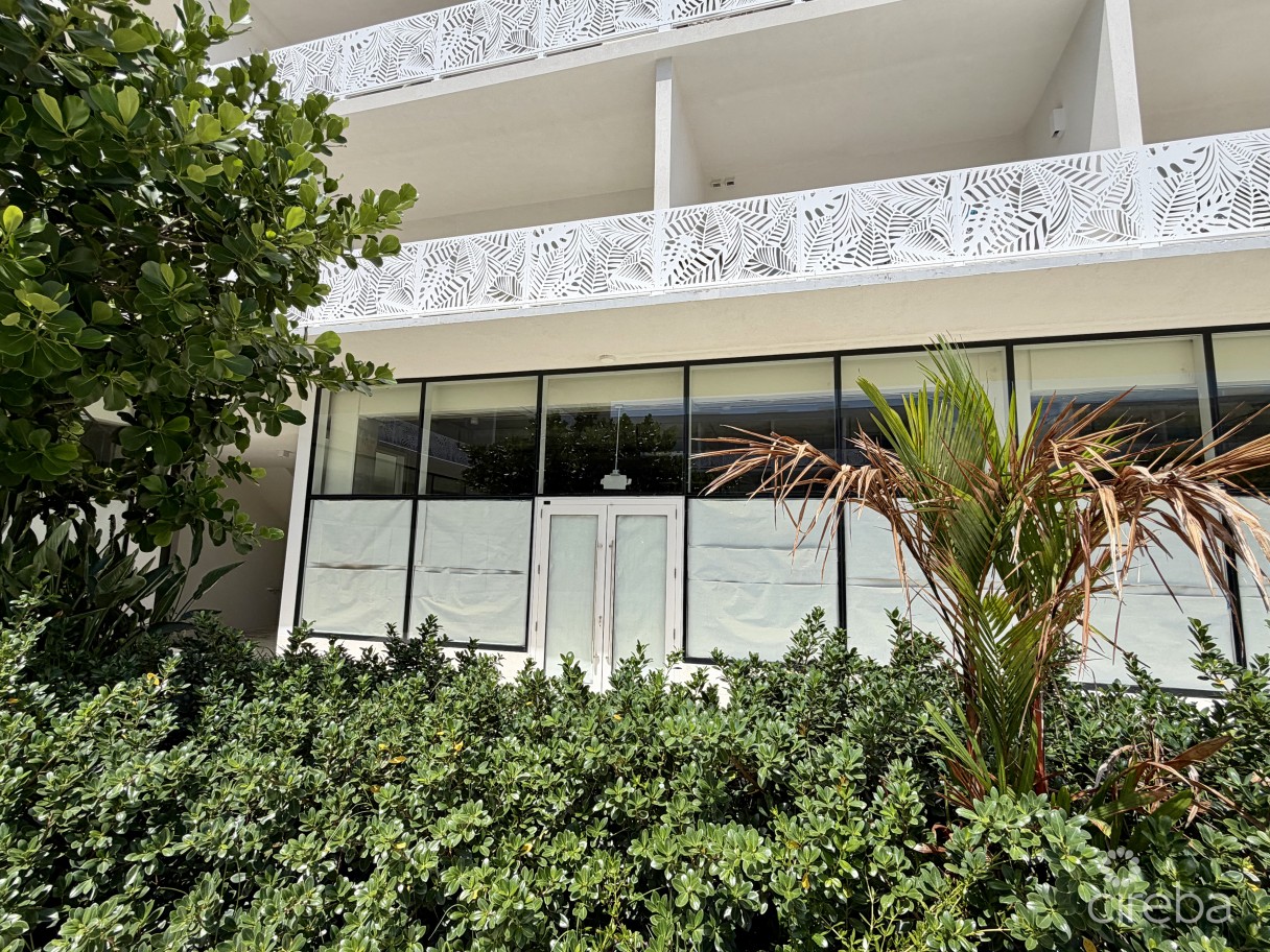Grove Too  Commercial Office Space - Rare Corner Location - Image 17