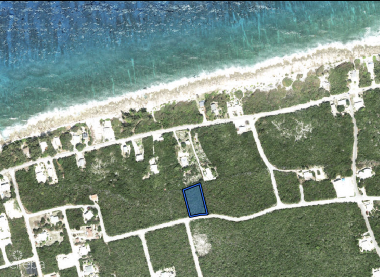 Bluff Edge - Ocean View - Image 1