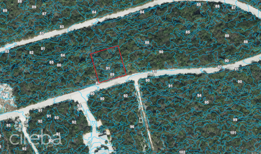 Cayman Brac Bluff Lot (0.2874 Acre) - Image 2