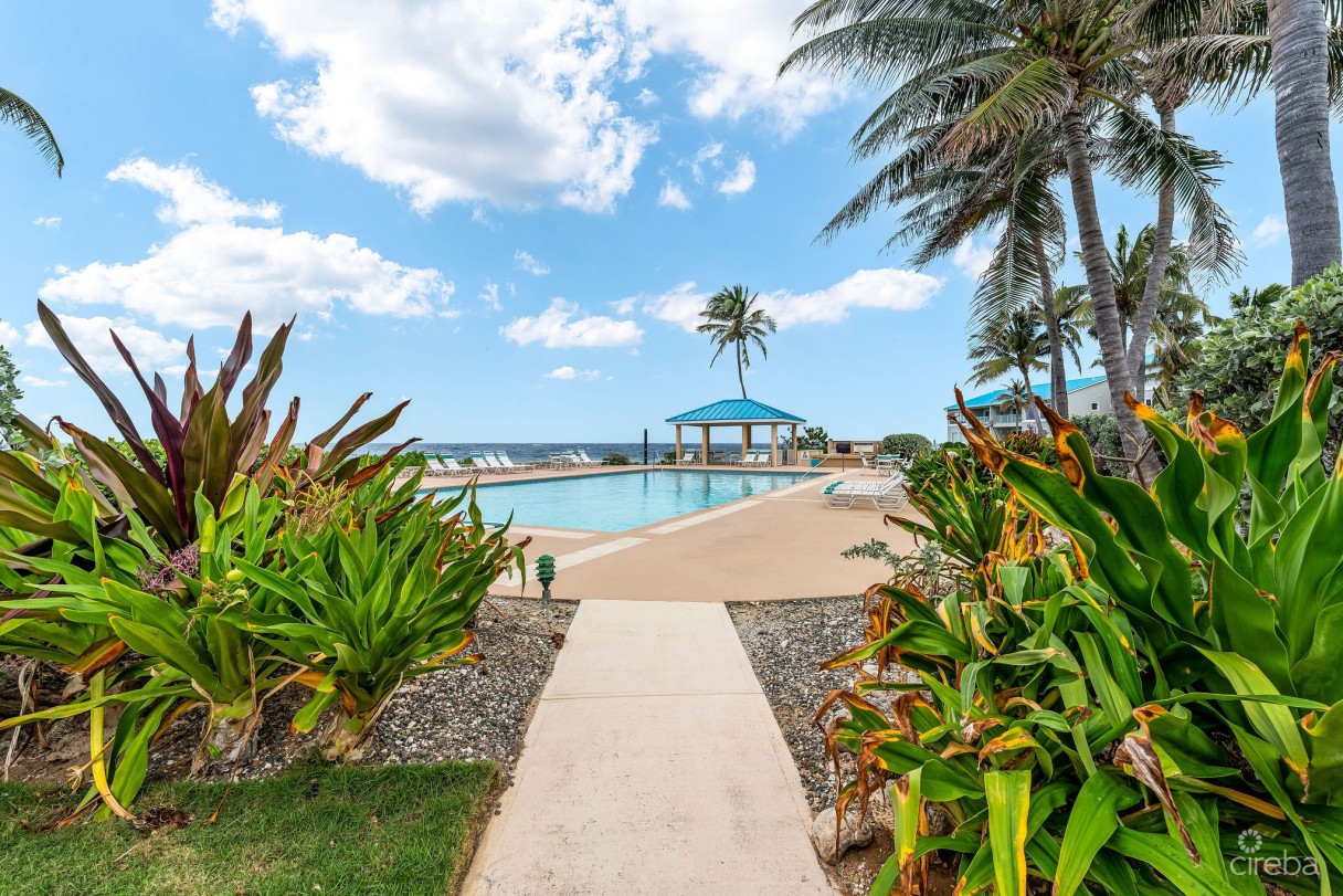 Ocean Pointe Villas  3 Bed, 2 Bath, 2nd Floor Penthouse - Image 4