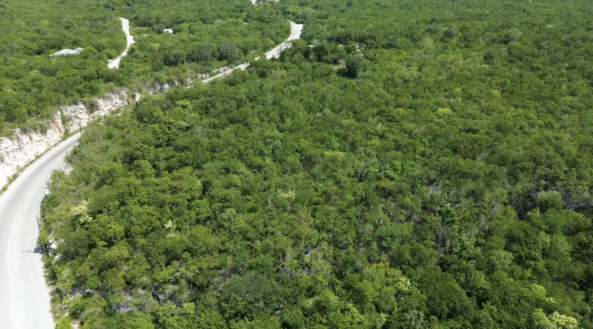 Bluff Edge At The Creek - Image 1