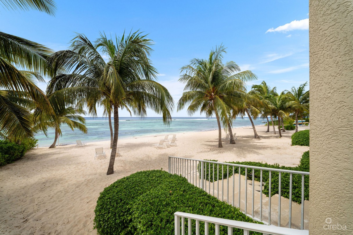 Coral Bay Village #5 - Beachfront Condo - Image 7