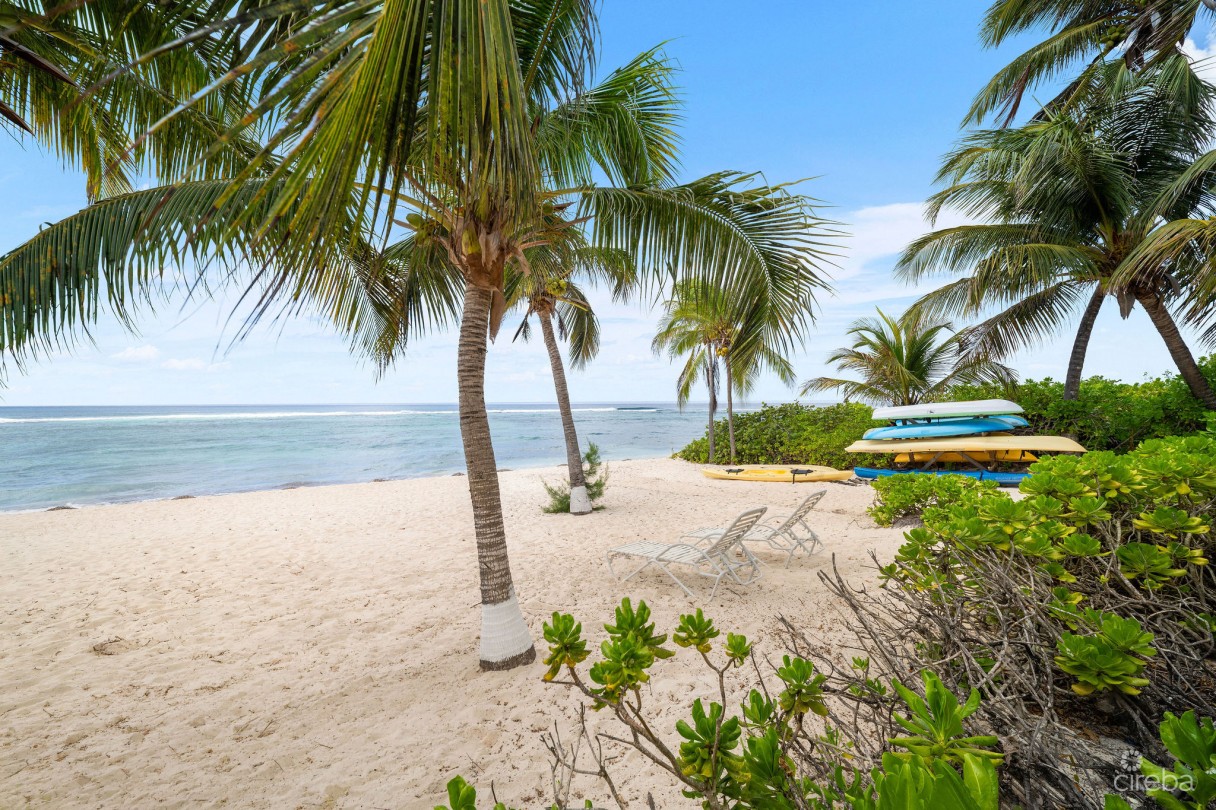Coral Bay Village #5 - Beachfront Condo - Image 8