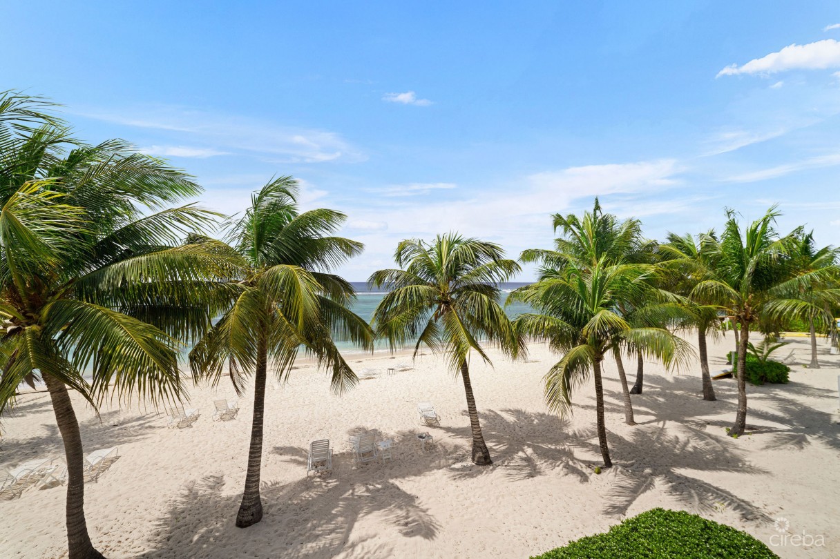 Coral Bay Village #5 - Beachfront Condo - Image 6