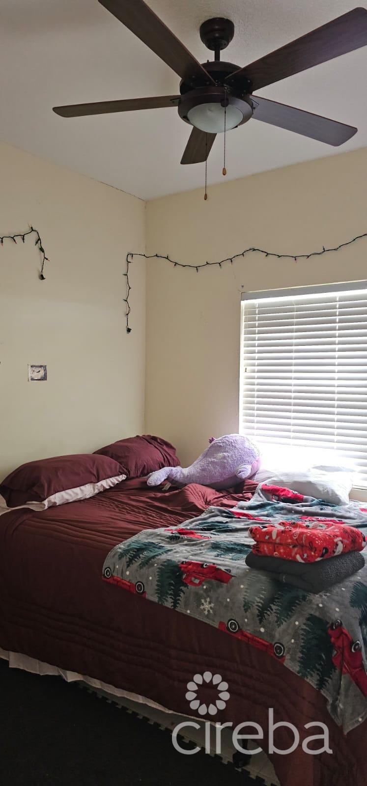 Duplex Investment Property - Aurora Drive, West Bay - Image 6