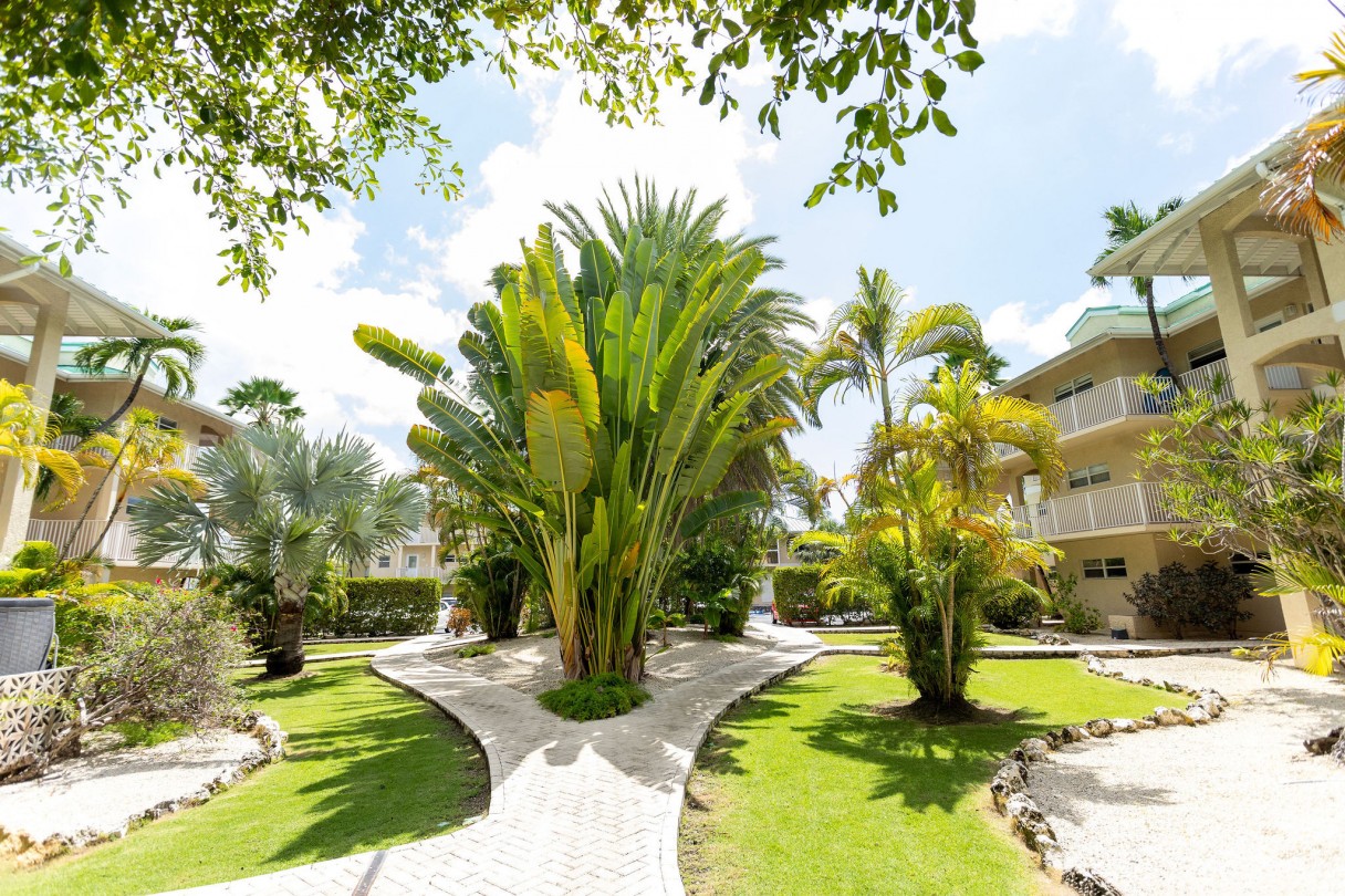 Plantation Village - Image 6