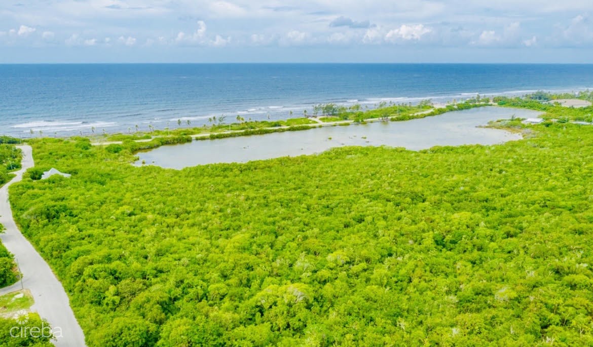 Alexander Grove Subdivision - Cayman Brac - Pond Lot 2 - Image 2