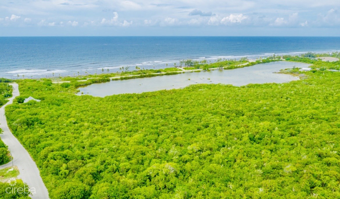 Alexander Grove Subdivision - Cayman Brac - Pond Lot 3 - Image 2