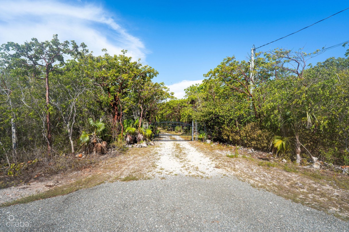 Cayman Enchanted Forest | 9.93-acre Parcel In East End - Image 1
