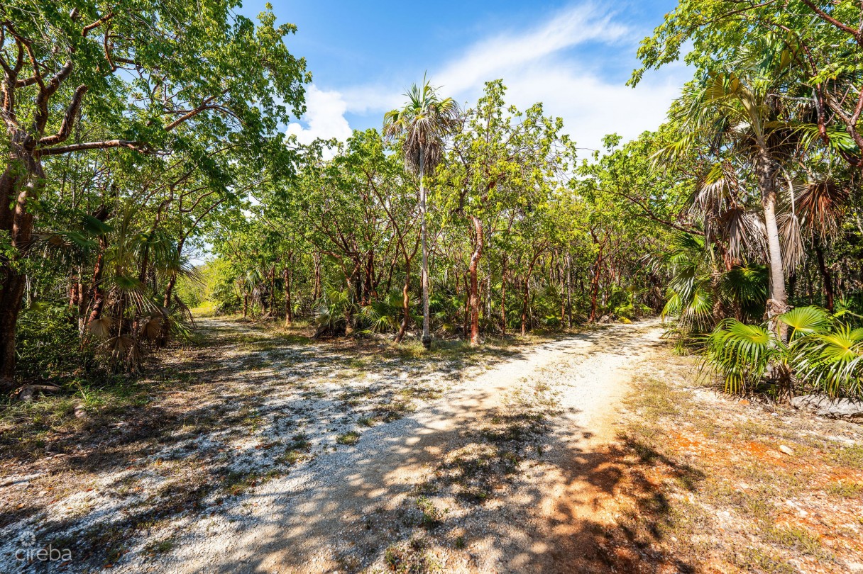 Cayman Enchanted Forest | 9.93-acre Parcel In East End - Image 6