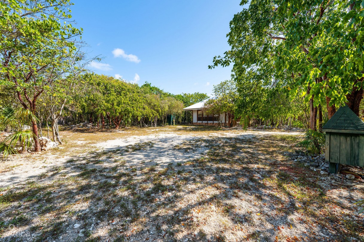 Cayman Enchanted Forest | 9.93-acre Parcel In East End - Image 4