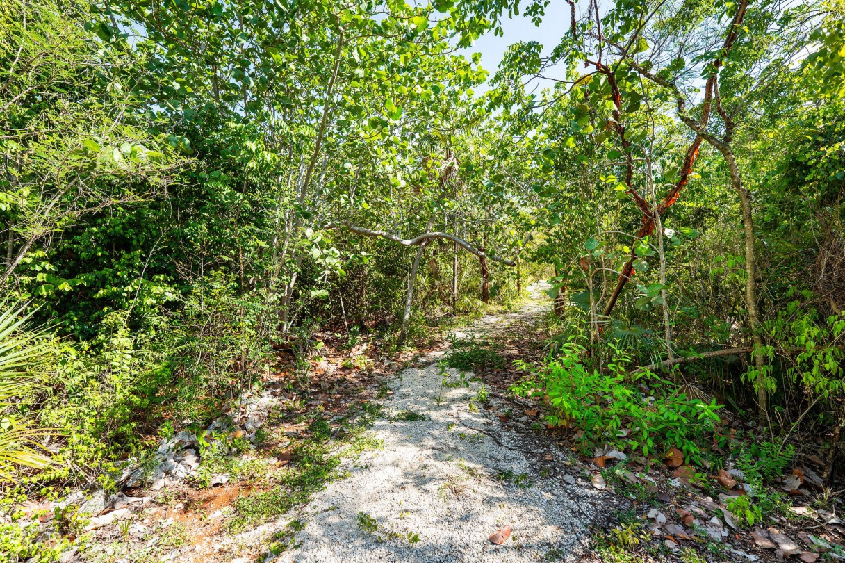 Cayman Enchanted Forest | 9.93-acre Parcel In East End - Image 2