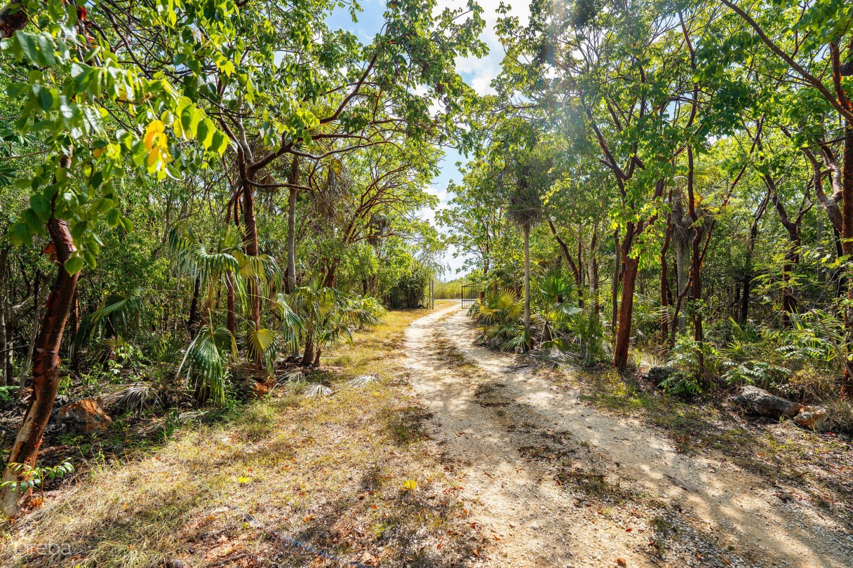Cayman Enchanted Forest | 9.93-acre Parcel In East End - Image 3