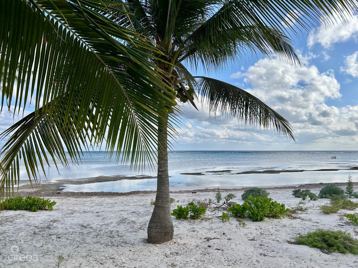 Bodden Town Hotel/tourism Beachfront Acreage & Cottage - Image 5