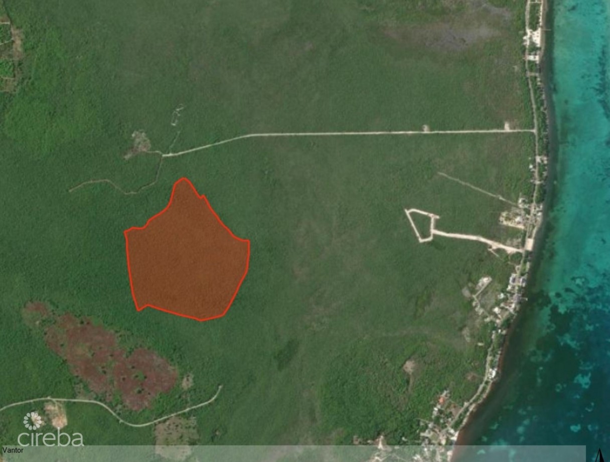 78 Acres - Colliers - Image 1