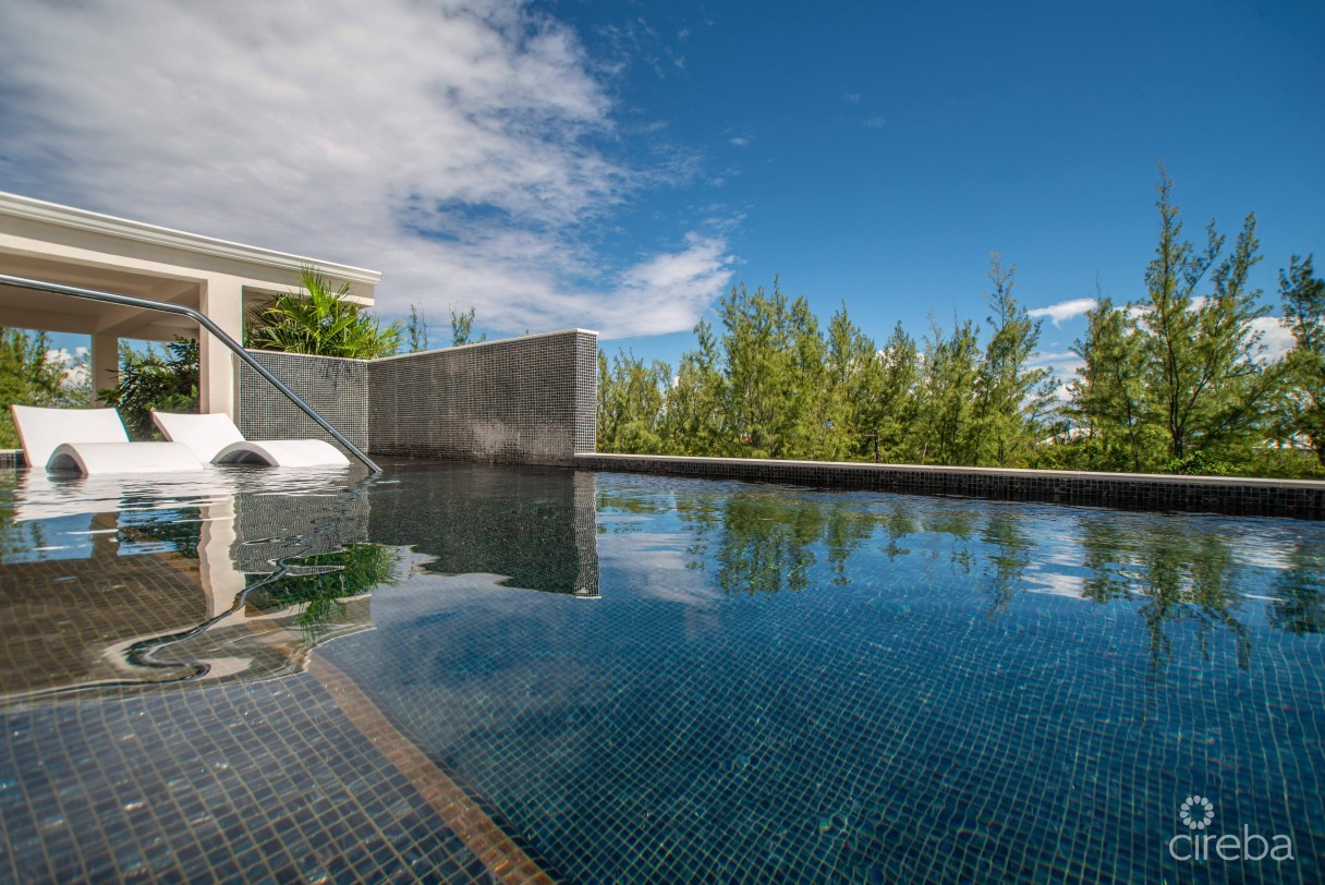 Studio Paradisum At The Grove - Image 7
