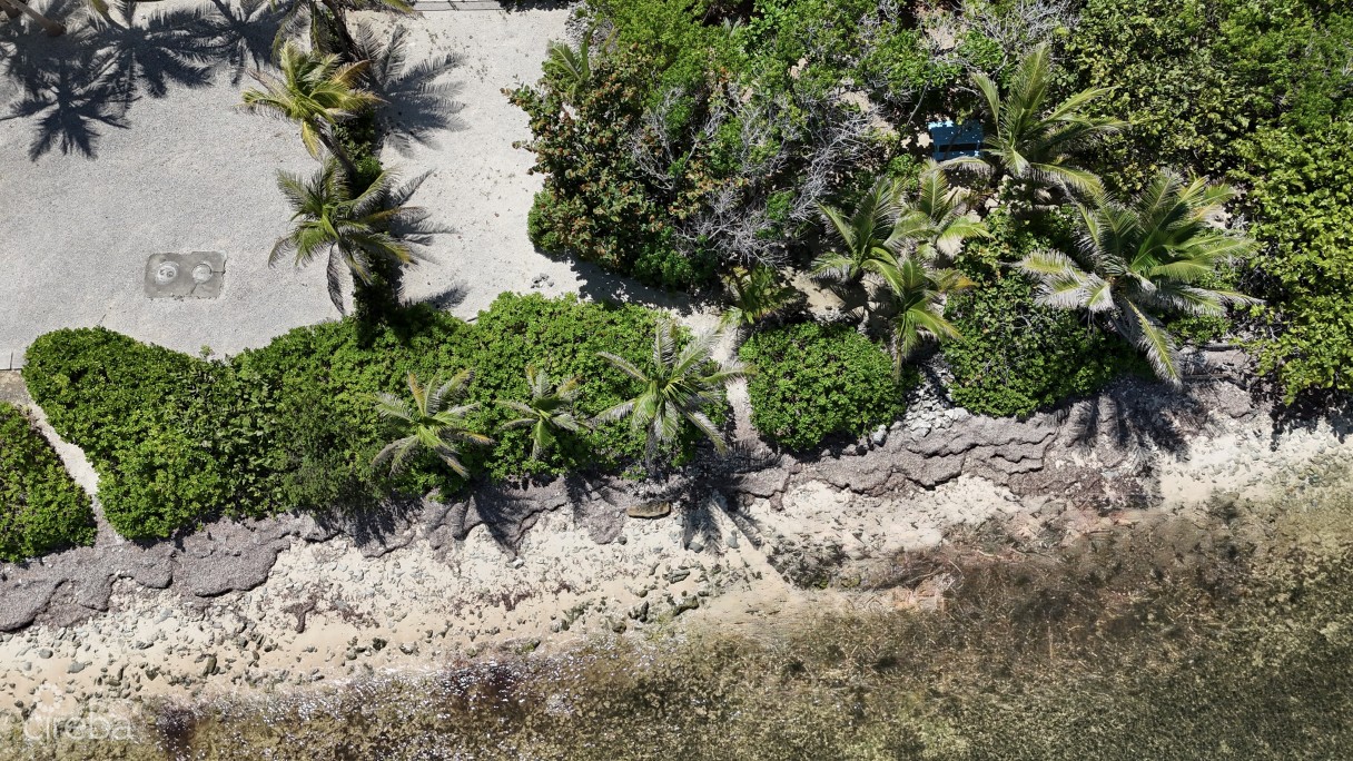 Large Beachfront Lot - Rum Point Drive - Perfect Estate Parcel - Image 9
