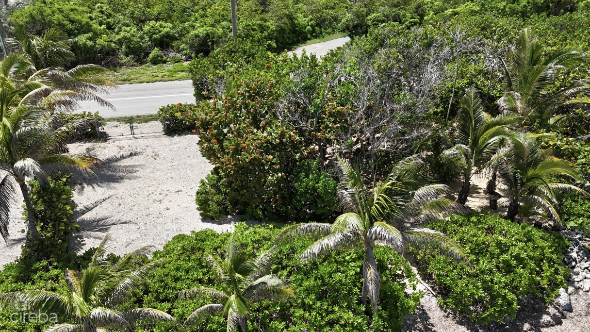 Large Beachfront Lot - Rum Point Drive - Perfect Estate Parcel - Image 10