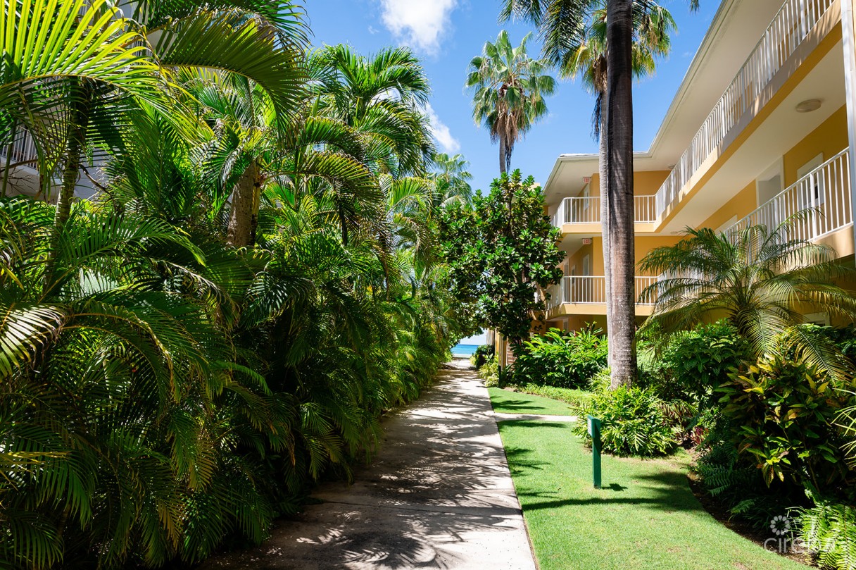 Regal Beach Club #124 - Image 18