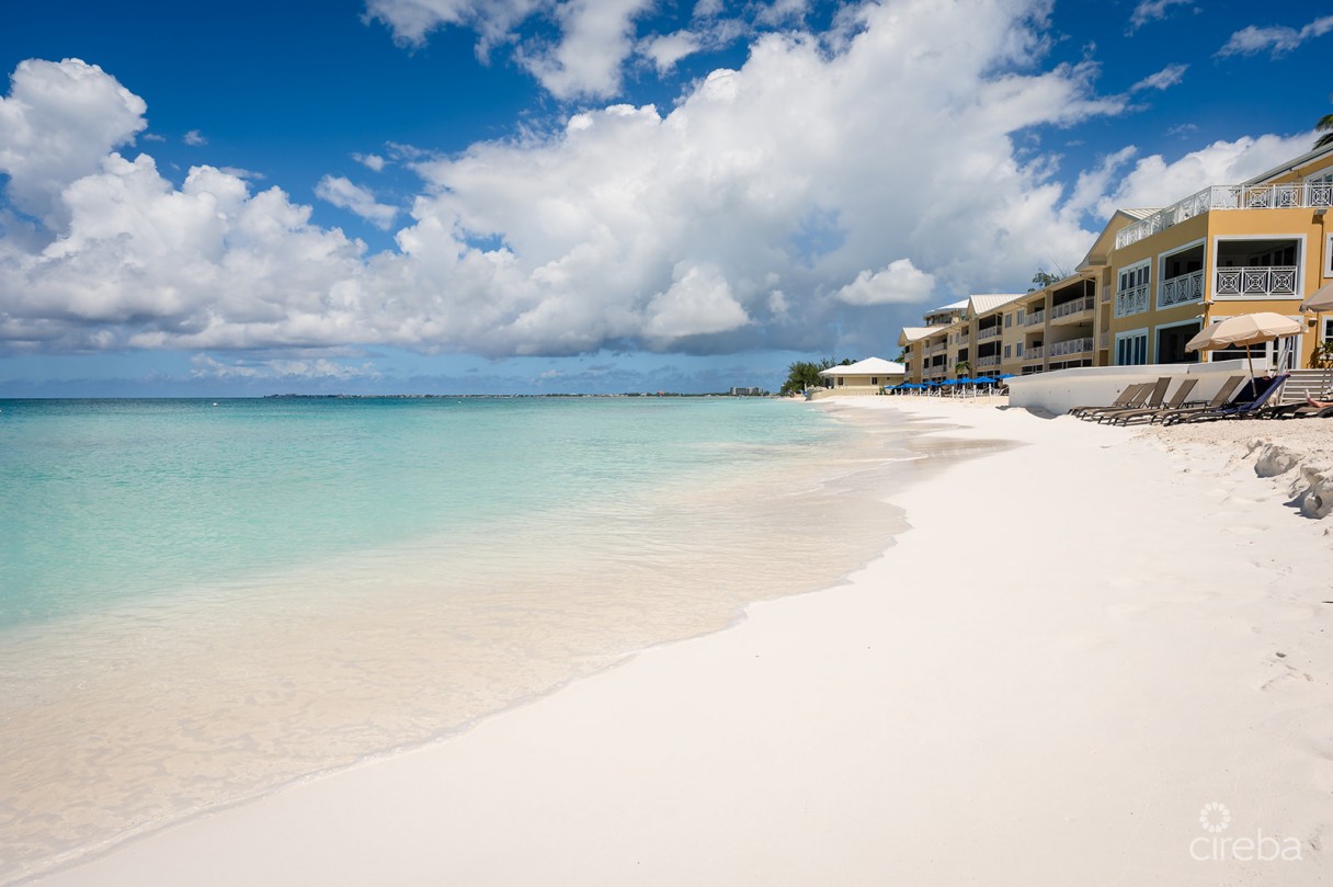 Regal Beach Club #124 - Image 3