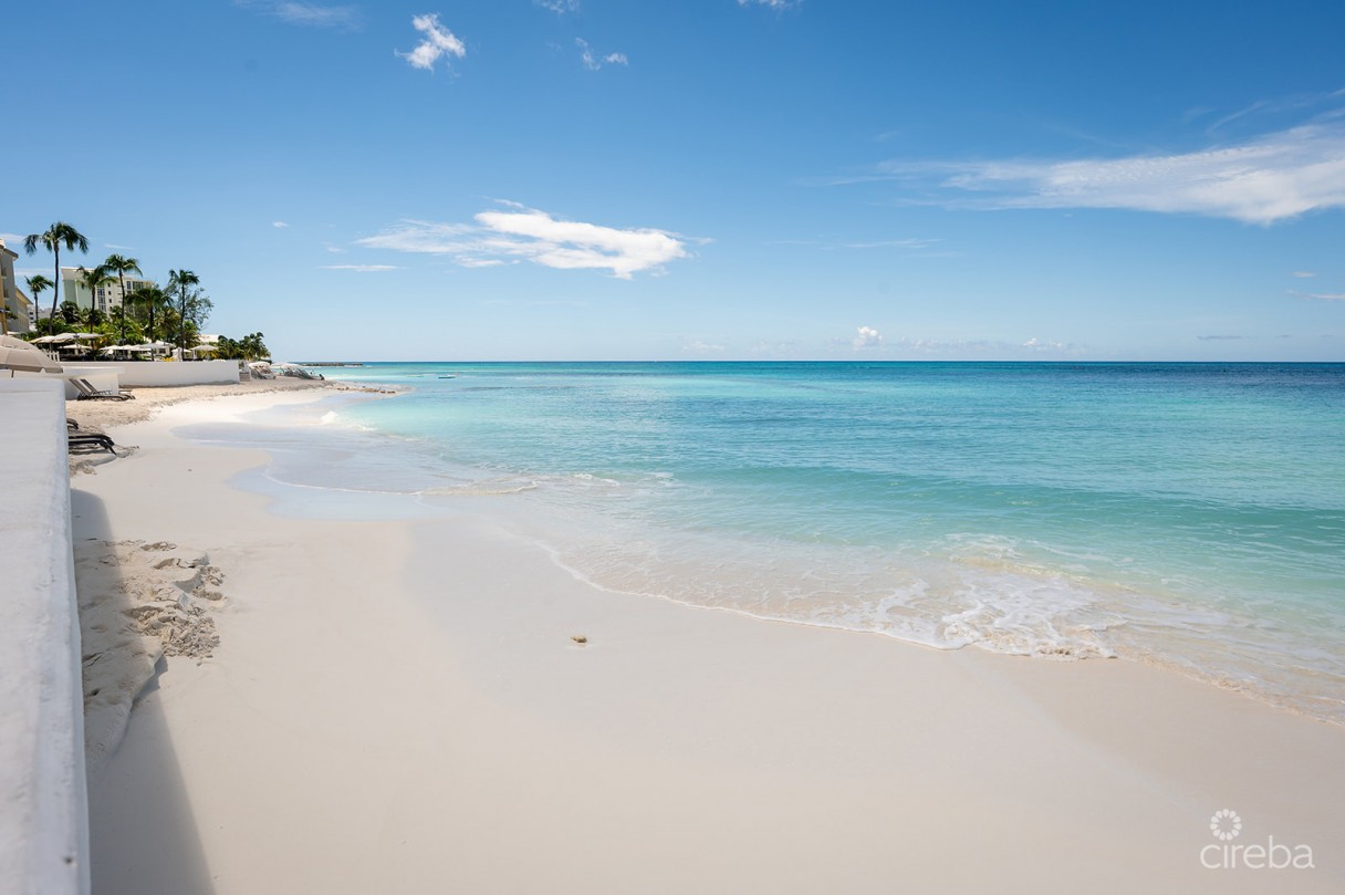 Regal Beach Club #124 - Image 15