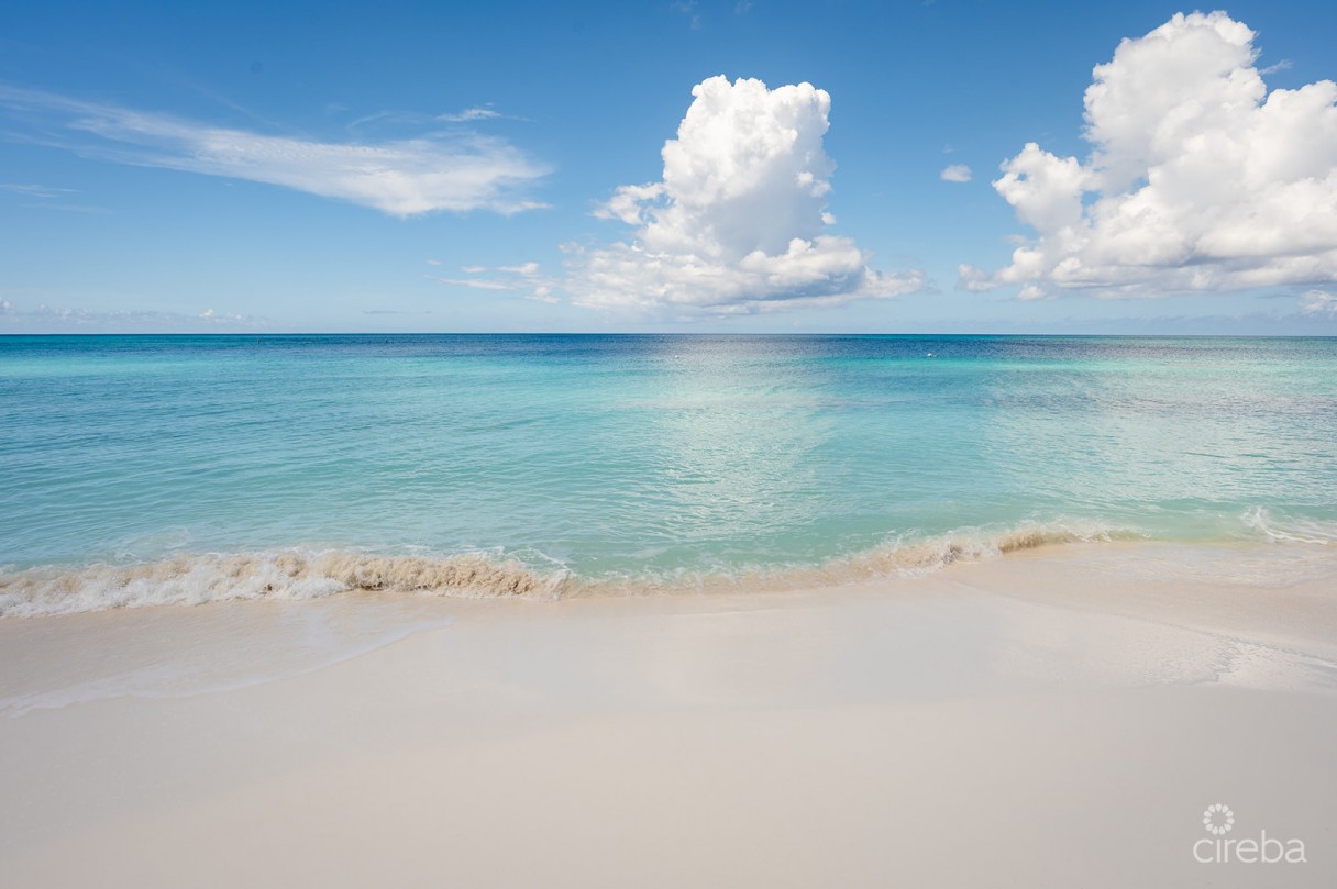 Regal Beach Club #124 - Image 14