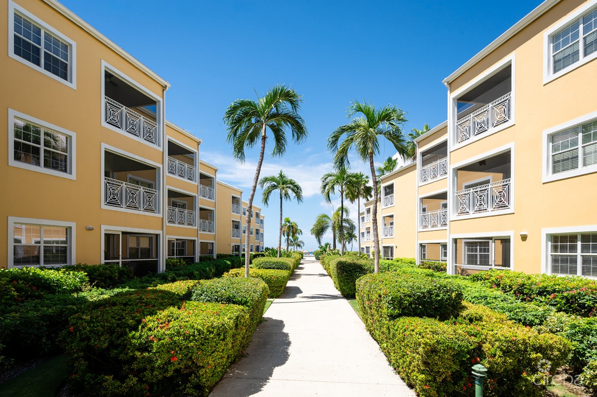 Regal Beach Club #124 - Image 17