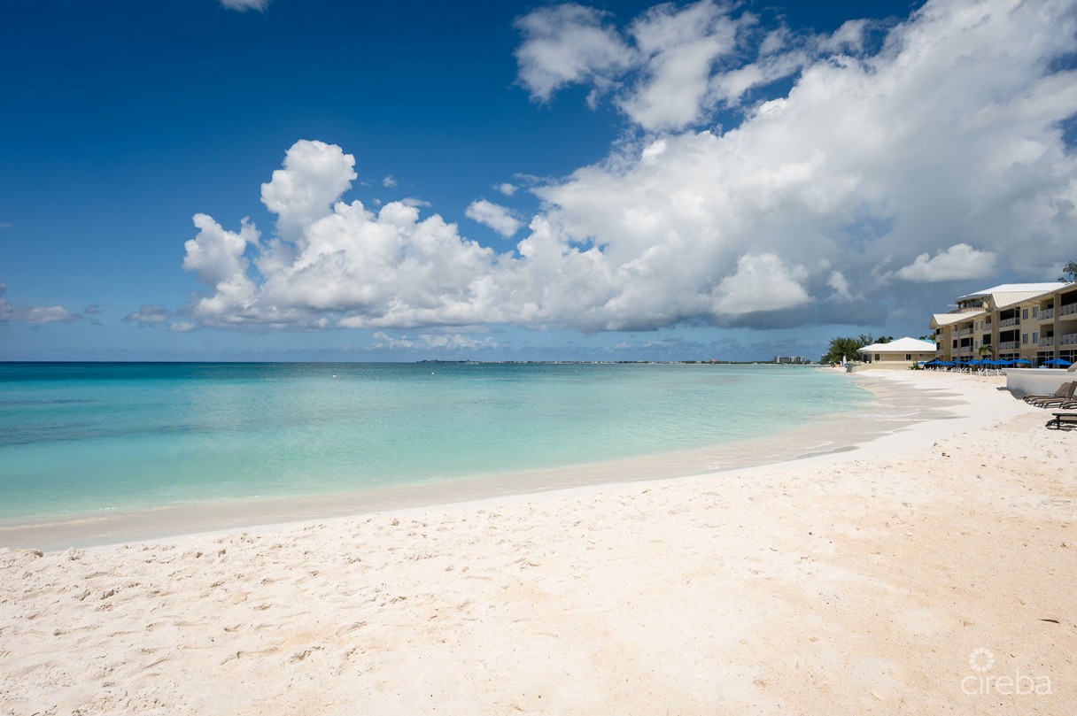 Regal Beach Club #124 - Image 4