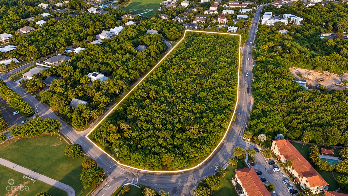 Elevated  Development Site Rarely Available - Image 6